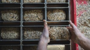 baeckerei-konditorei-kaufmann-kirchebaeck-bad-hindelang-brot-koerner